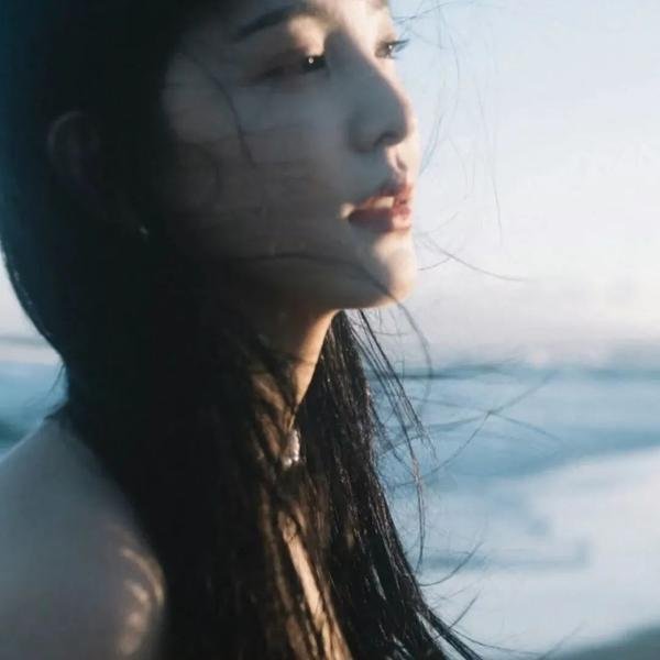维达I:过去的碎片